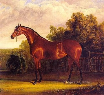 Animal Painting - amc0018D1 animal caballo